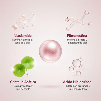 Regalo:  Crema Niacinamida y Ácido Hialurónico